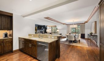 315 E Dean St B65, Aspen, CO 81611