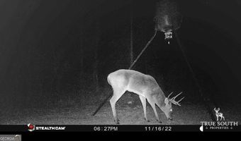 0 John S Horton, Adrian, GA 31002