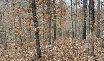 Lot 44 of Block 2 Twyford LN, Bella Vista, AR 72714