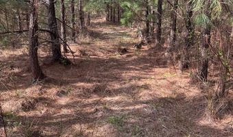 Old Courthouse Road, Appomattox, VA 24522