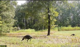 14782 County Road 7990, Bakersfield, MO 65609