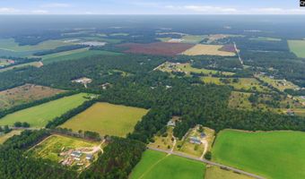 3164 Neely Wingard Rd, Leesville, SC 29070