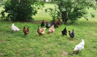 33017 77th, Arkansas City, KS 67005