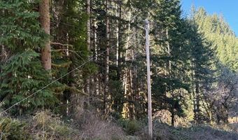 Logsden Rd, Blodgett, OR 97326