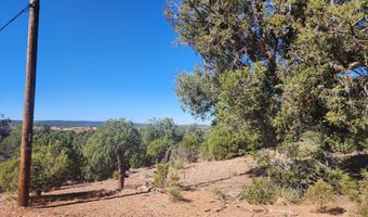 Tbd State Route 260, Clay Springs, AZ 85923