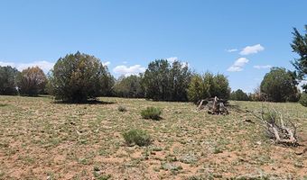 326 W Poppy Rd, Ash Fork, AZ 86320