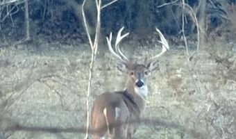 1350 County Road 405, Alton, MO 65606