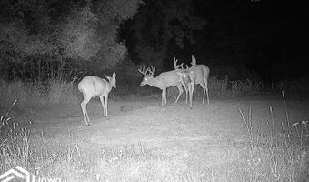 560 Th Ave, Albia, IA 52531