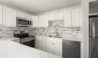 605 E Main St #9, Aspen, CO 81611