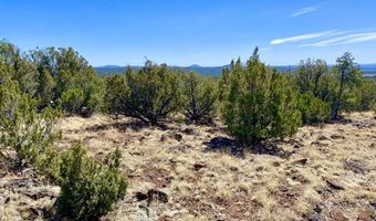 74 County Road 8056, Concho, AZ 85924
