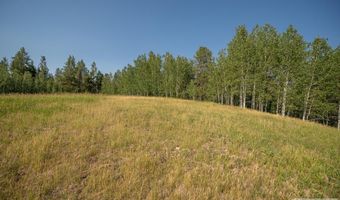 Potpourri Drive lot 11, Ashton, ID 83420