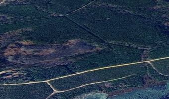 10664 Burton's Ferry Rd, Allendale, SC 29810