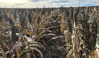 00000 CR 140, Alexander, KS 67513