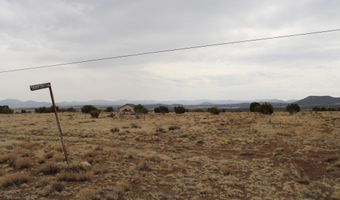 21 County Rd, Concho, AZ 85924