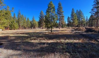 4733 Swan Dr, Bonanza, OR 97623