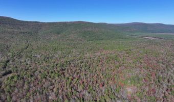 TBD Raw Land, Bates, AR 74953