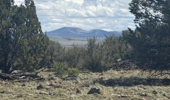 20 SE Kirkwood N8715 Rd, Concho, AZ 85924