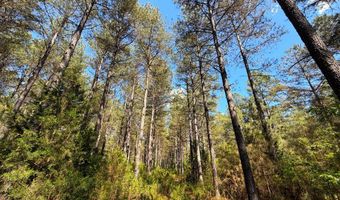 3172 Highway 20, Abbeville, SC 29638