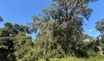 14155 NE 47TH Ave, Anthony, FL 32617