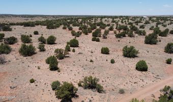 Tbd Rio Ranch, Concho, AZ 85924