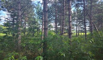 Lot 113 Beaver Lane, Arkdale, WI 54613