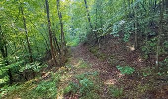 6270 KY 1809, Barbourville, KY 40906