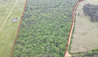 0 CR 3216, De Kalb, TX 75559