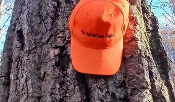 0 BLACKJACK Rd, Argo, AL 35173