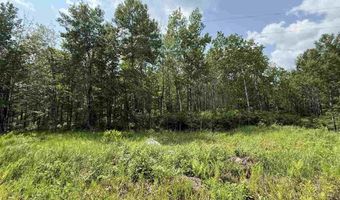 TBD Samuelson Road - Sec 15, Angora, MN 55703