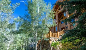 121 Borders Rd, Beaver Creek, CO 81620