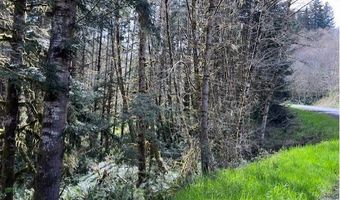 Northrup Creek Rd, Birkenfeld, OR 97016