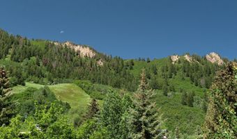 714 S Galena St B, Aspen, CO 81611