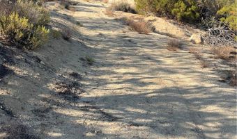 61700 Indian Paint Brush Rd, Anza, CA 92539