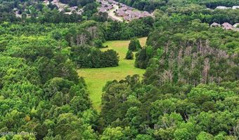 Vine Drive, Brandon, MS 39047