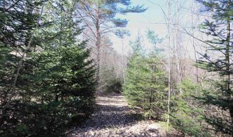 1252 Remick Rd, Waterford, VT 05819