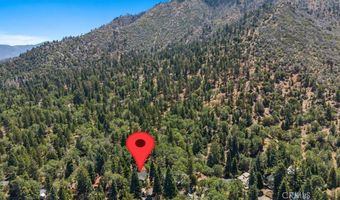 5998 Pine Ave, Angelus Oaks, CA 92305