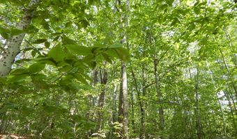 Lot 6 Maplecrest Road, Parsonsfield, ME 04047