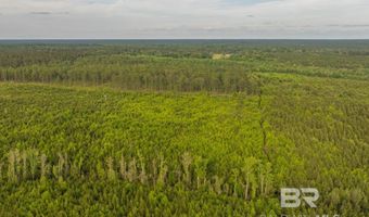 Flowers Road, Bay Minette, AL 36507