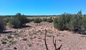 268 N 5383, Concho, AZ 85924