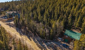 431 N Aspen St, Alma, CO 80420