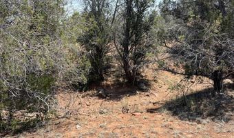 164 Rattlesnake Rd, Ash Fork, AZ 86320