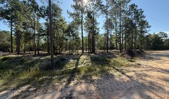 Adams Drive, Alford, FL 32420