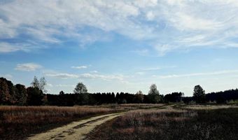 303 Westwood Rd NW, Alden, MI 49612