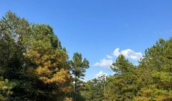 0 Military Rd, Beaverton, AL 35544