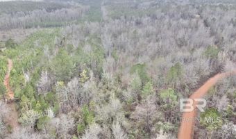 21000 Block Highway 21, Beatrice, AL 36425