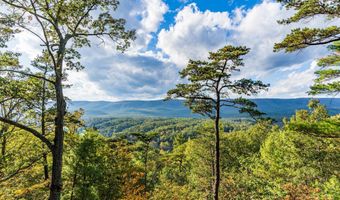 197 S ASPEN Way, Basye, VA 22810