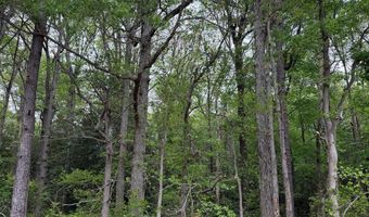 HUNTING QUARTER RD lot 3, Houston, DE 19954