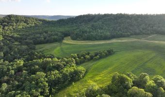 TBD Bear Pen Rd, Arkansaw, WI 54721