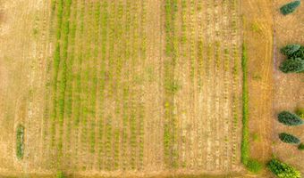 25113 S RIDGE Rd, Beavercreek, OR 97004