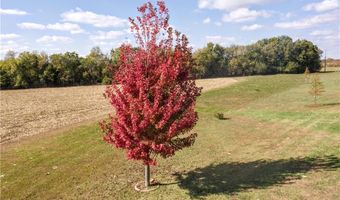 33415 S State Rt T Hwy, Archie, MO 64725